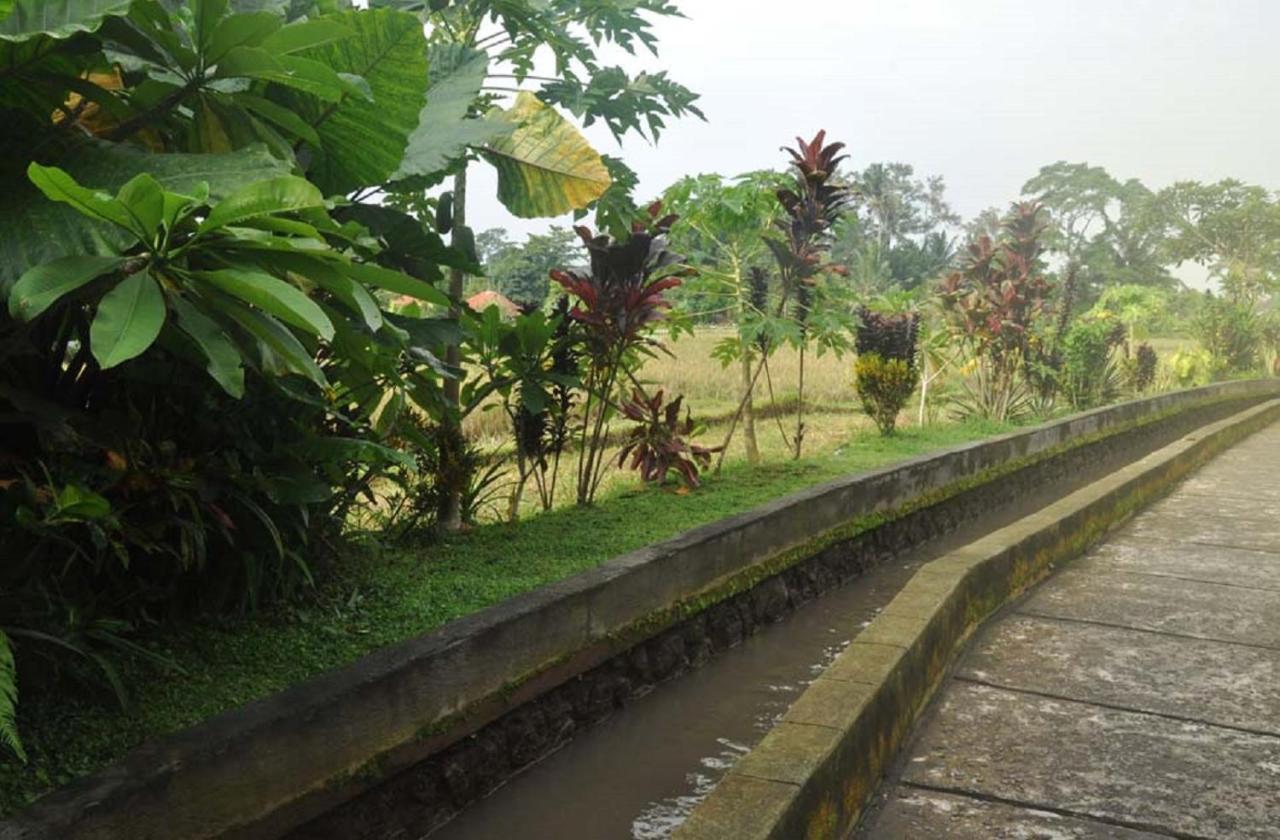 Candra Asri Bungalows Ubud  Bagian luar foto