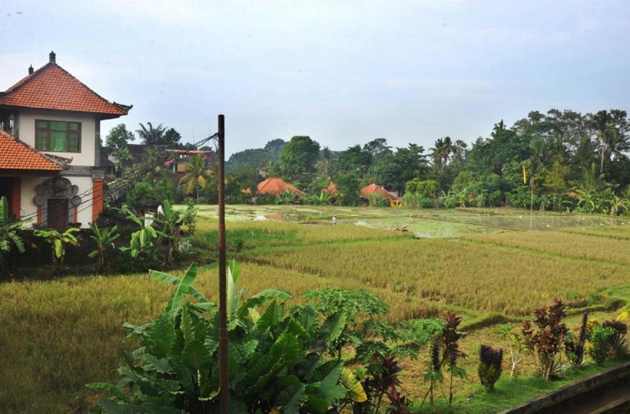 Candra Asri Bungalows Ubud  Bagian luar foto